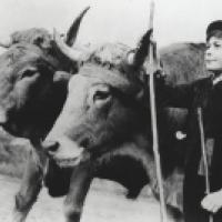 image from film FARREBIQUE