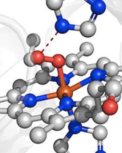 Inorganic chemistry