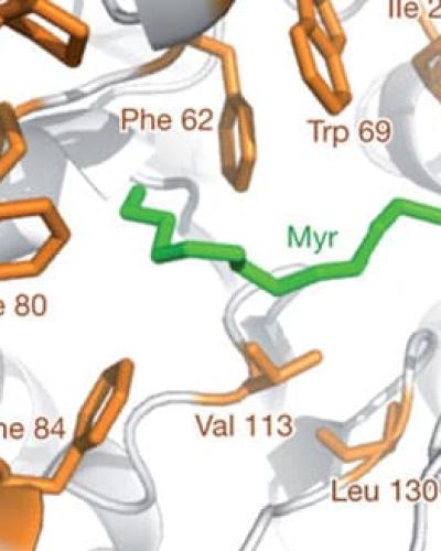 Chemical Biology