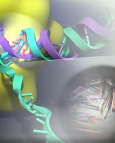 Biophysics