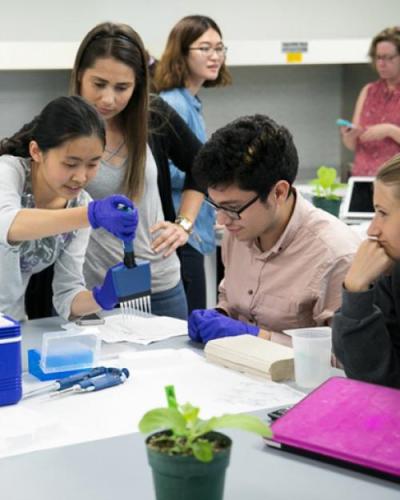 Students in lab class